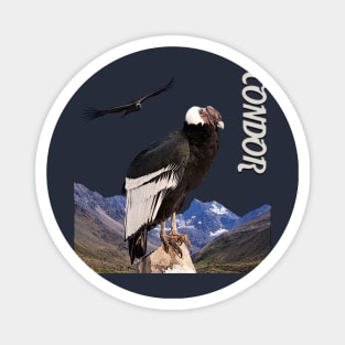 Andean condor Magnet